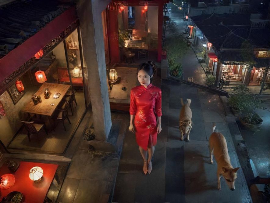 犬马之家茶室俯瞰,展现现代简约的夜场氛围